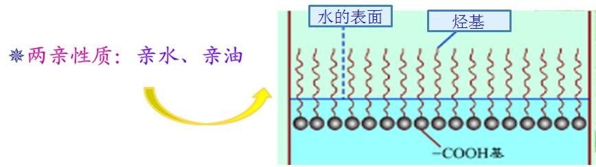<a href='http://www.2468266.com/product/product-0001,0011,0018.shtml' class='keys' title='點(diǎn)擊查看關(guān)于潤濕劑的相關(guān)信息' target='_blank'>潤濕劑</a>